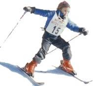 Skier